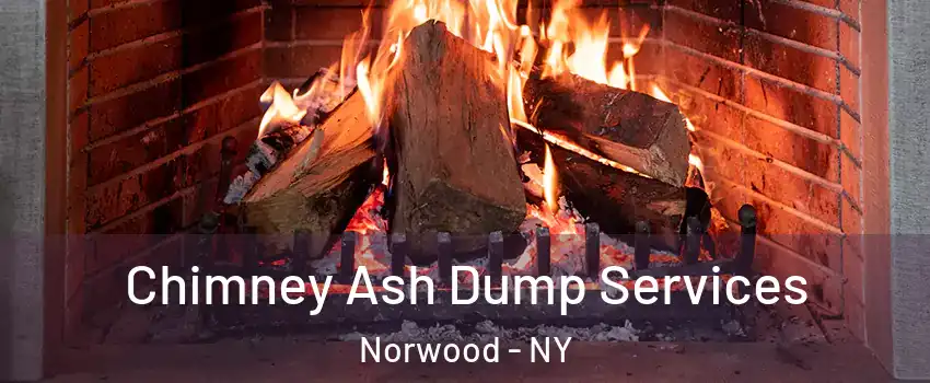 Chimney Ash Dump Services Norwood - NY