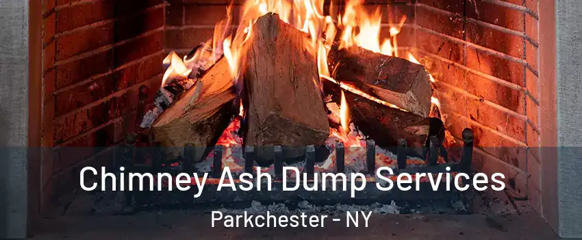 Chimney Ash Dump Services Parkchester - NY