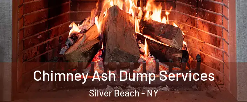 Chimney Ash Dump Services Silver Beach - NY