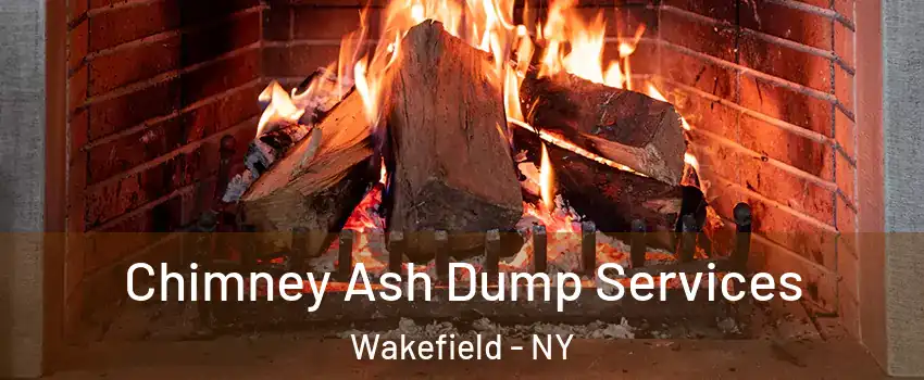 Chimney Ash Dump Services Wakefield - NY