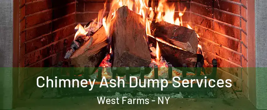 Chimney Ash Dump Services West Farms - NY