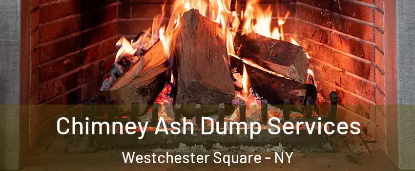 Chimney Ash Dump Services Westchester Square - NY