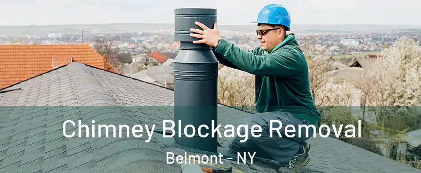 Chimney Blockage Removal Belmont - NY