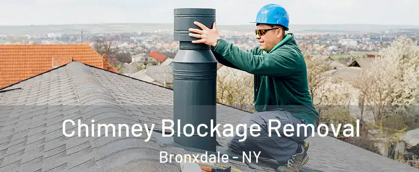 Chimney Blockage Removal Bronxdale - NY