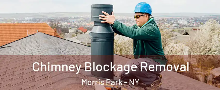 Chimney Blockage Removal Morris Park - NY