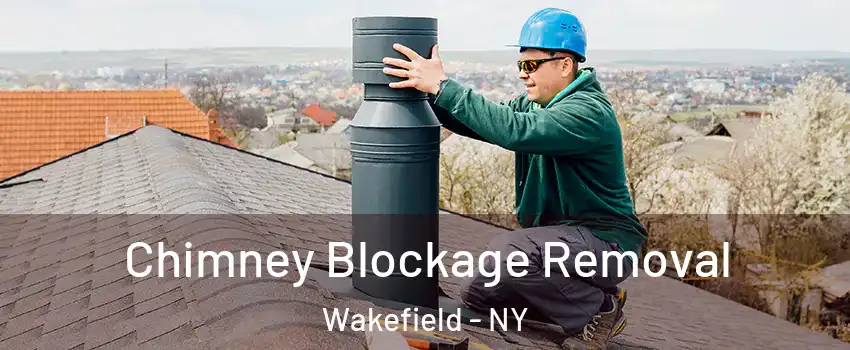 Chimney Blockage Removal Wakefield - NY