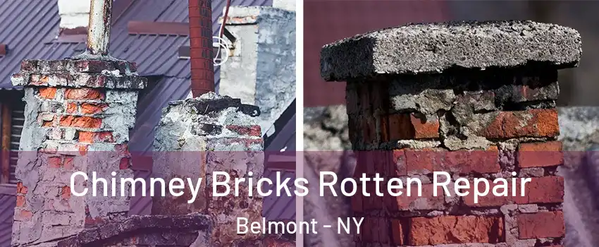 Chimney Bricks Rotten Repair Belmont - NY