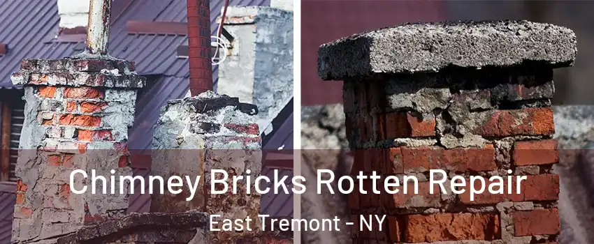 Chimney Bricks Rotten Repair East Tremont - NY