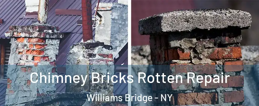 Chimney Bricks Rotten Repair Williams Bridge - NY