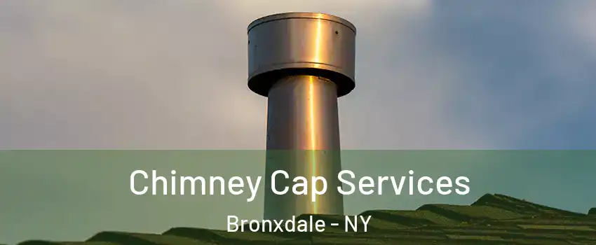 Chimney Cap Services Bronxdale - NY