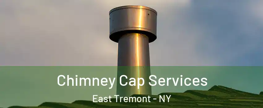 Chimney Cap Services East Tremont - NY