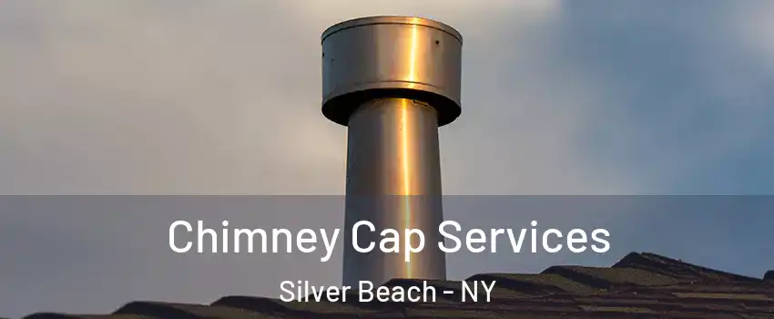 Chimney Cap Services Silver Beach - NY