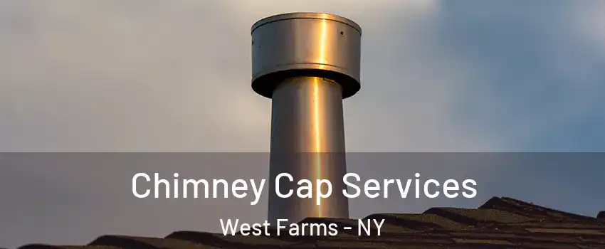 Chimney Cap Services West Farms - NY