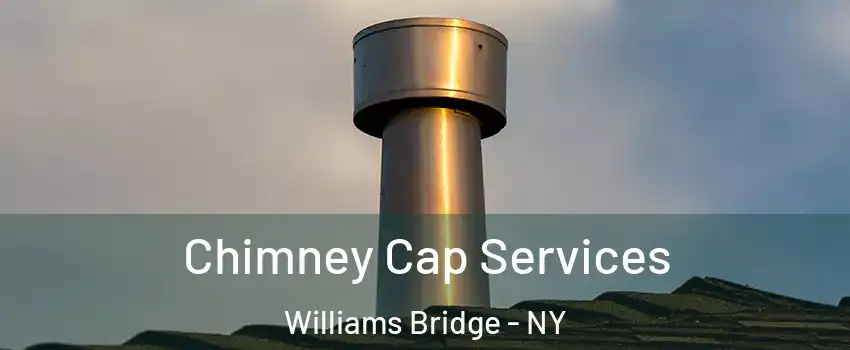 Chimney Cap Services Williams Bridge - NY