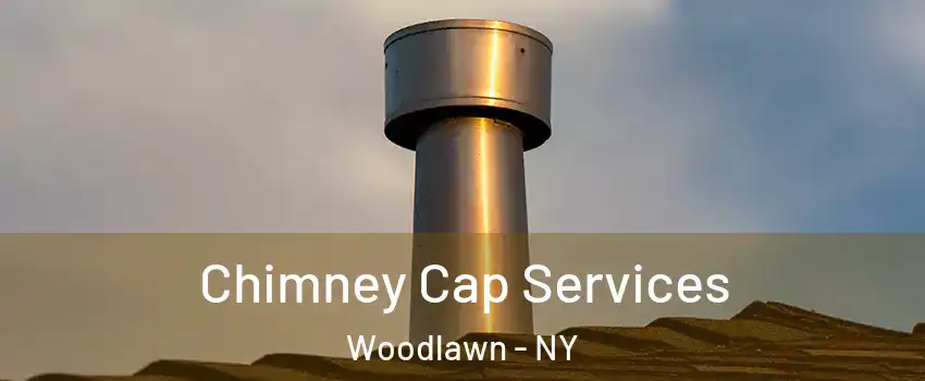 Chimney Cap Services Woodlawn - NY