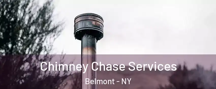 Chimney Chase Services Belmont - NY