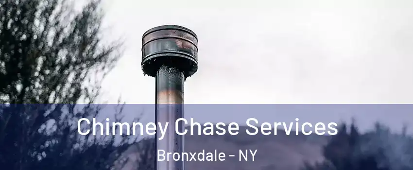 Chimney Chase Services Bronxdale - NY