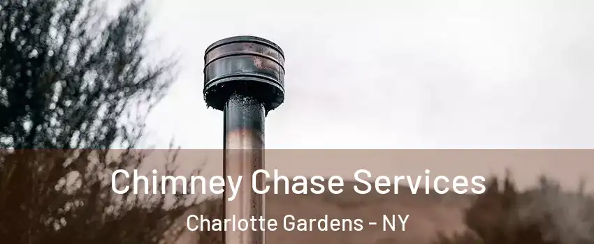 Chimney Chase Services Charlotte Gardens - NY