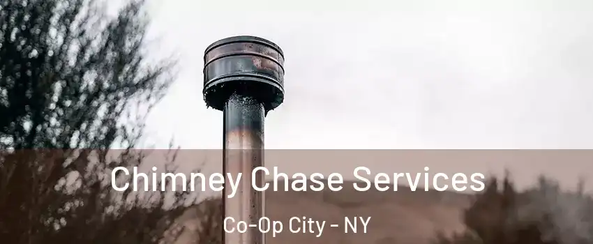 Chimney Chase Services Co-Op City - NY