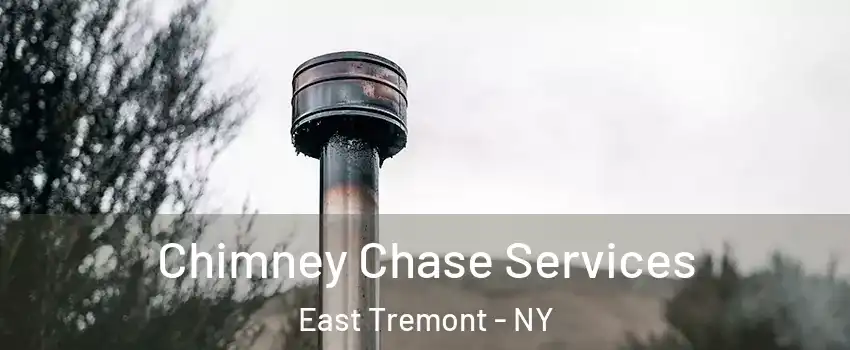 Chimney Chase Services East Tremont - NY