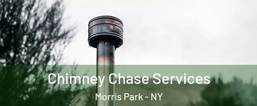 Chimney Chase Services Morris Park - NY