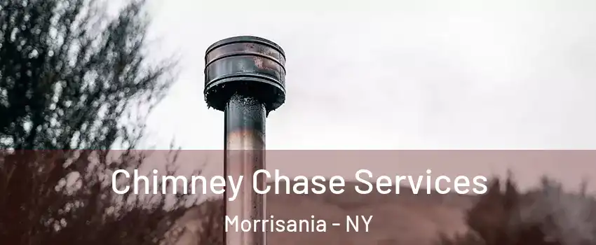 Chimney Chase Services Morrisania - NY