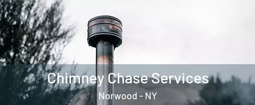 Chimney Chase Services Norwood - NY