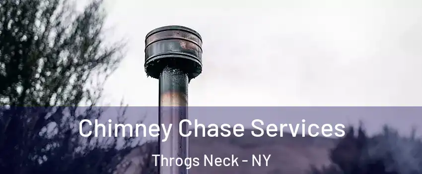 Chimney Chase Services Throgs Neck - NY