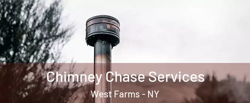 Chimney Chase Services West Farms - NY