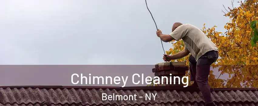 Chimney Cleaning Belmont - NY