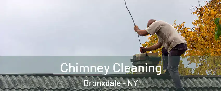 Chimney Cleaning Bronxdale - NY