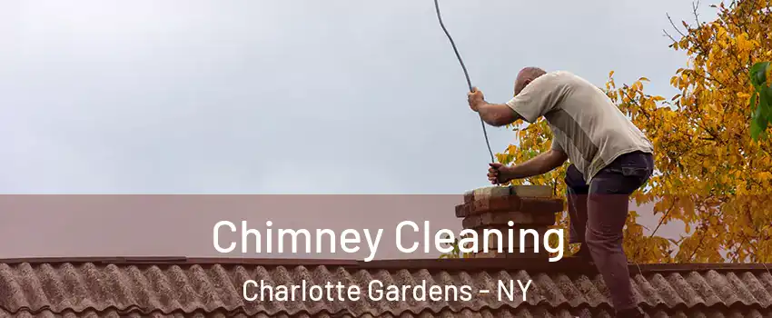 Chimney Cleaning Charlotte Gardens - NY