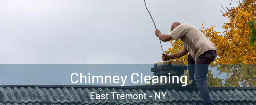 Chimney Cleaning East Tremont - NY