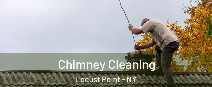 Chimney Cleaning Locust Point - NY