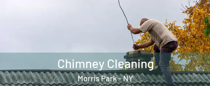 Chimney Cleaning Morris Park - NY