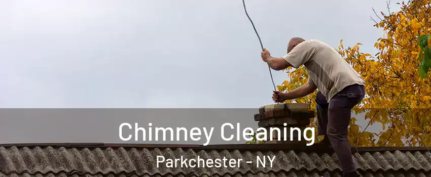 Chimney Cleaning Parkchester - NY