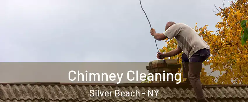 Chimney Cleaning Silver Beach - NY