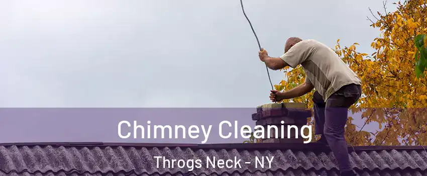 Chimney Cleaning Throgs Neck - NY