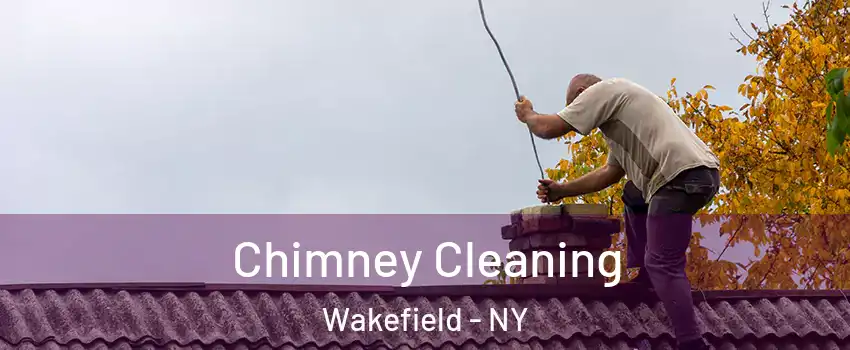 Chimney Cleaning Wakefield - NY