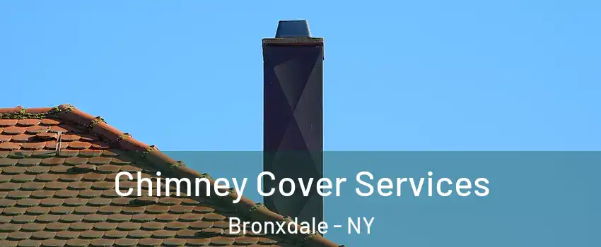 Chimney Cover Services Bronxdale - NY