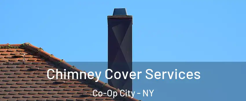 Chimney Cover Services Co-Op City - NY