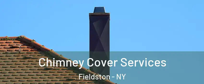 Chimney Cover Services Fieldston - NY