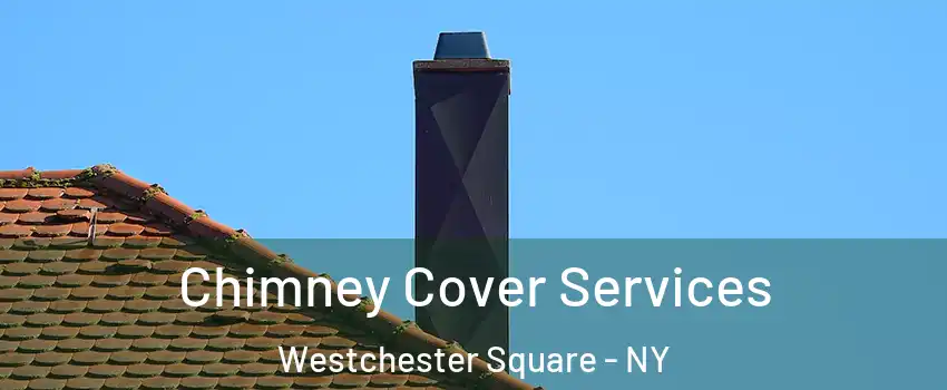 Chimney Cover Services Westchester Square - NY