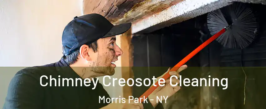 Chimney Creosote Cleaning Morris Park - NY