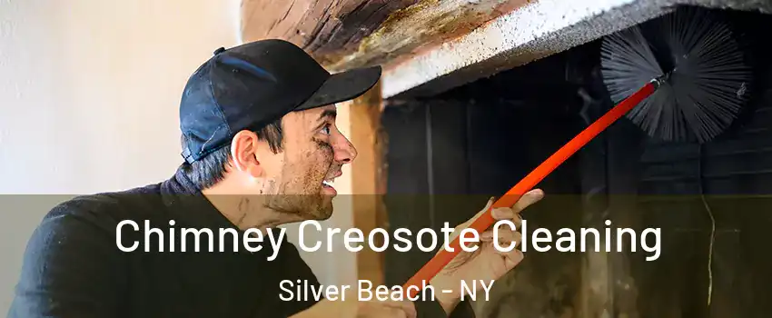 Chimney Creosote Cleaning Silver Beach - NY