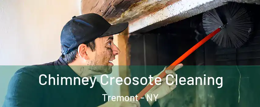 Chimney Creosote Cleaning Tremont - NY