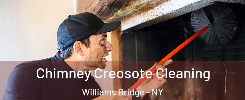 Chimney Creosote Cleaning Williams Bridge - NY