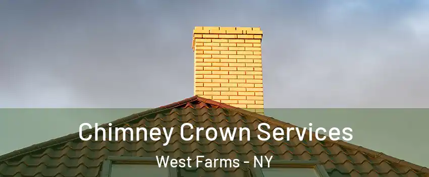 Chimney Crown Services West Farms - NY