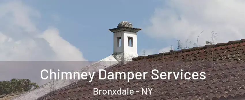 Chimney Damper Services Bronxdale - NY