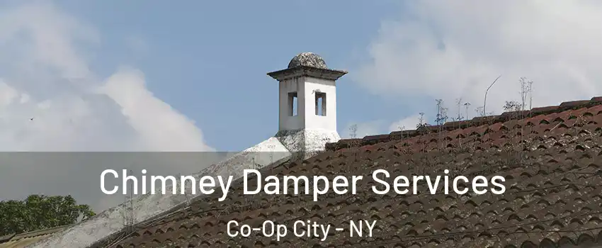 Chimney Damper Services Co-Op City - NY